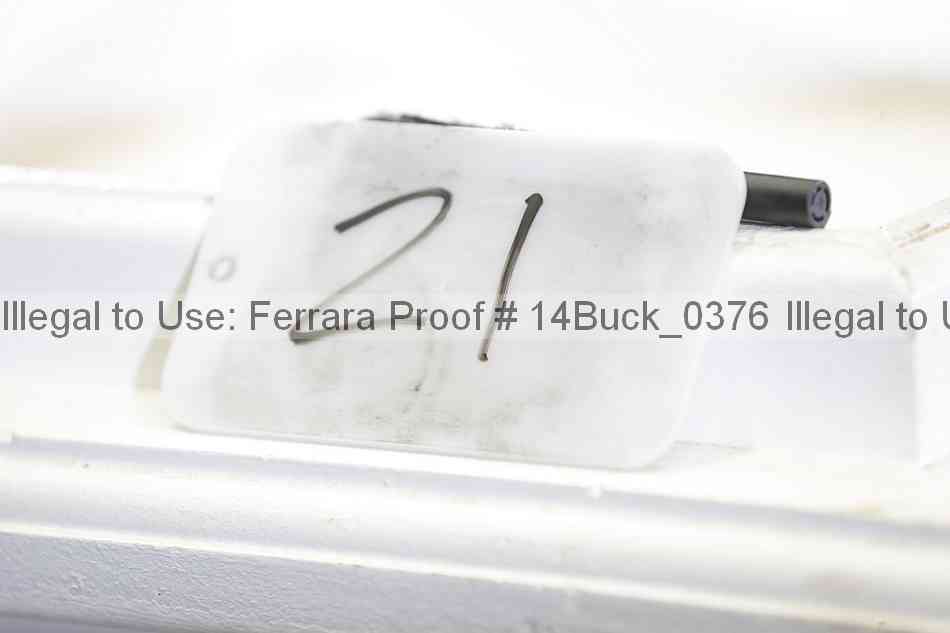 Proof 14buck_0376