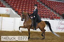 14buck_0377 proof