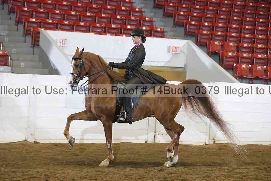 Proof 14buck_0379