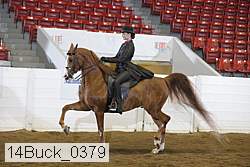14buck_0379 proof