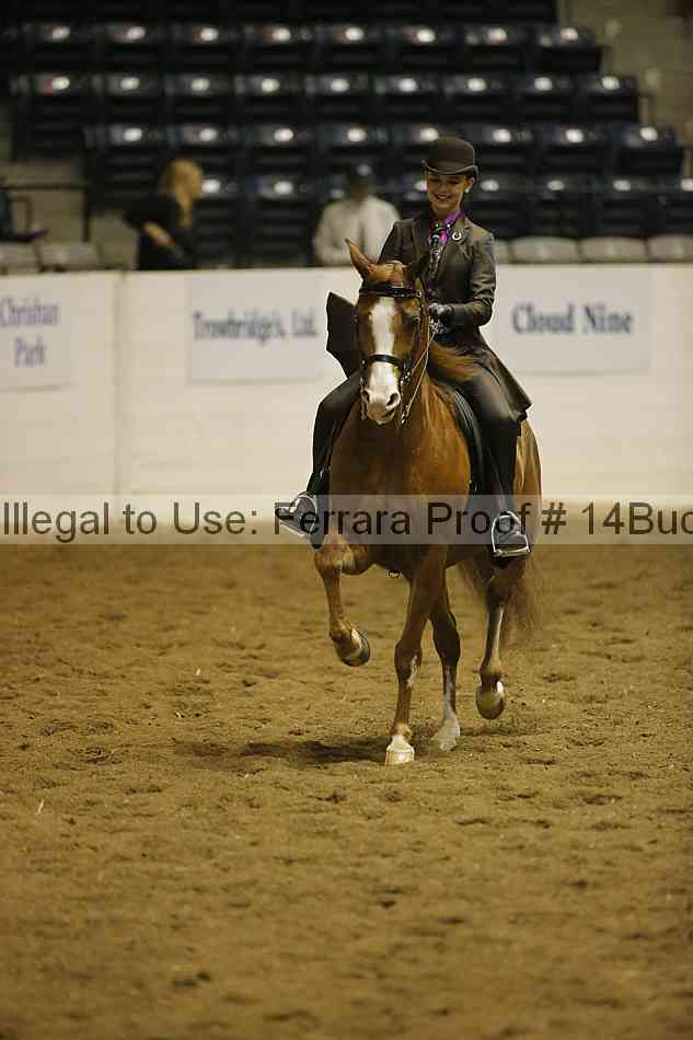 Proof 14buck_0380