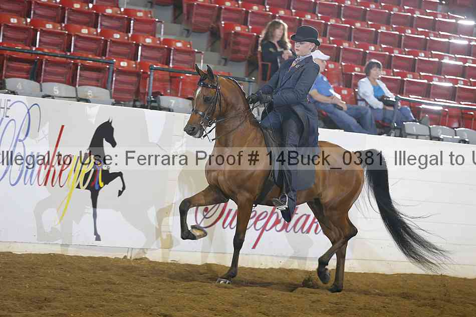 Proof 14buck_0381