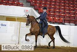 14buck_0382 proof