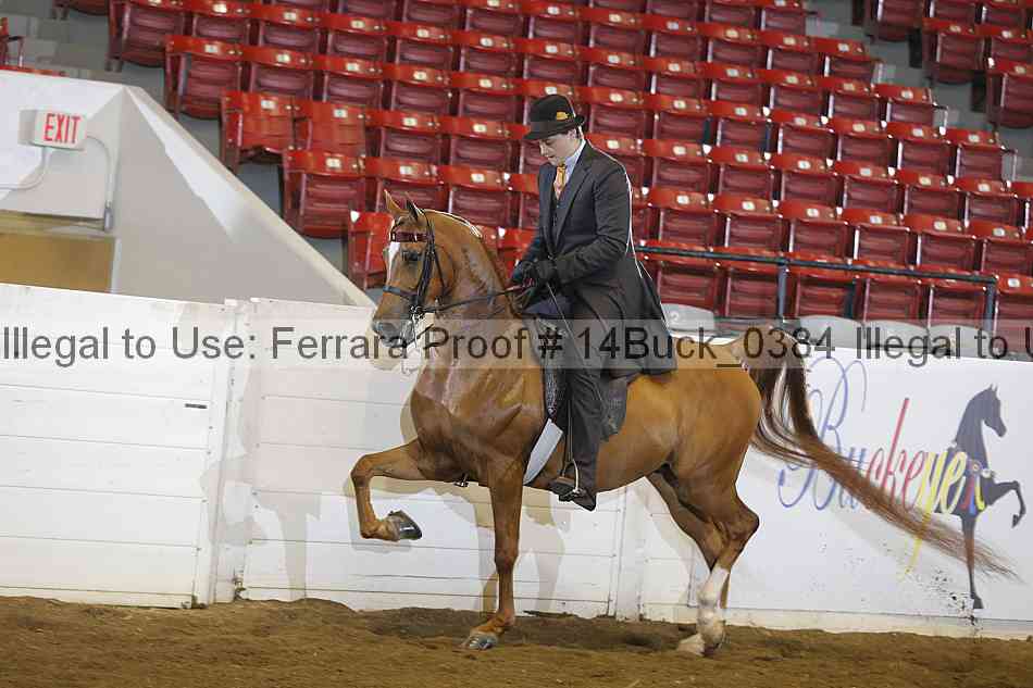 Proof 14buck_0384