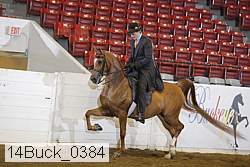 14buck_0384 proof