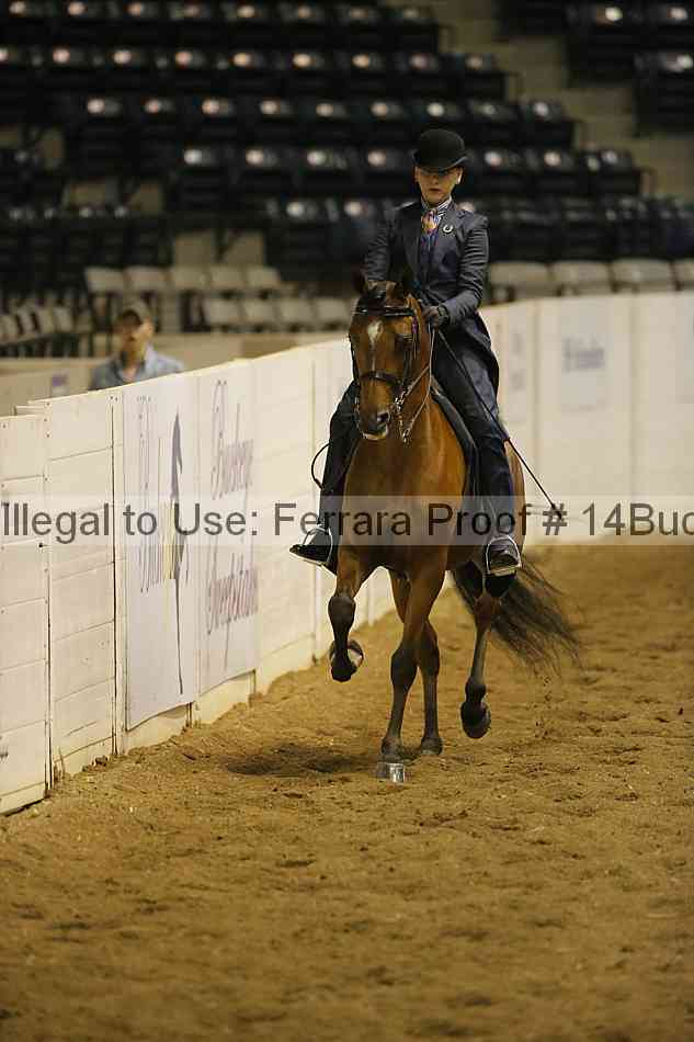 Proof 14buck_0385