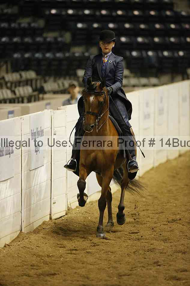Proof 14buck_0386