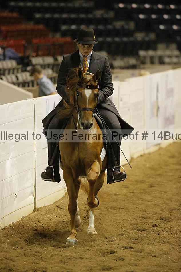 Proof 14buck_0388