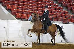 14buck_0389 proof