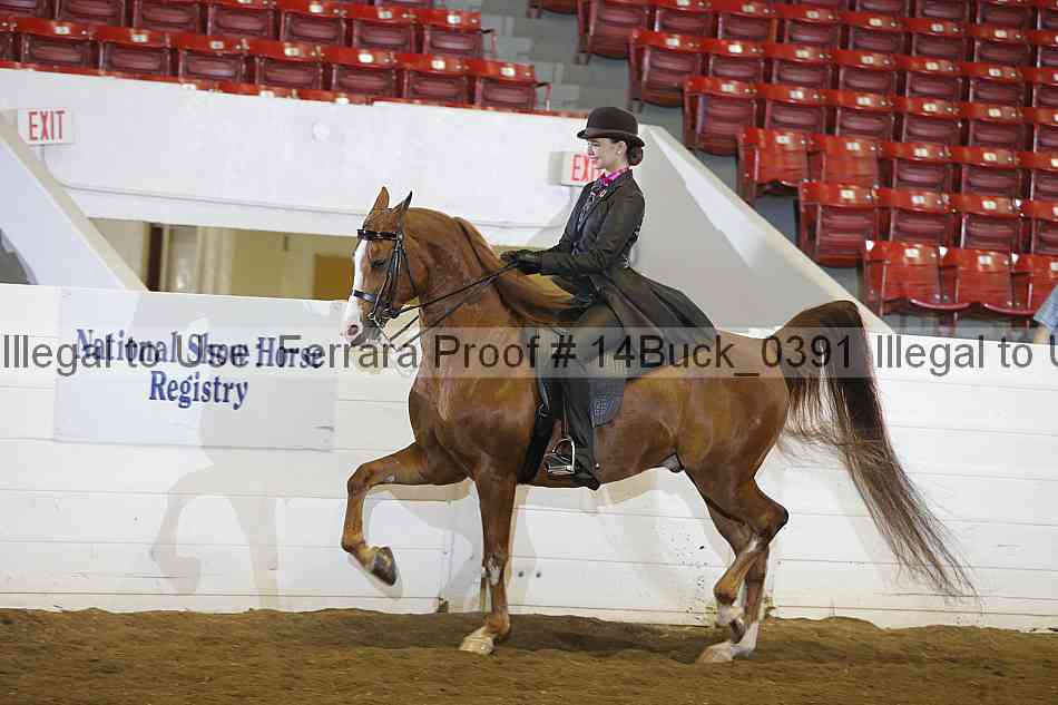 Proof 14buck_0391