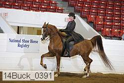 14buck_0391 proof