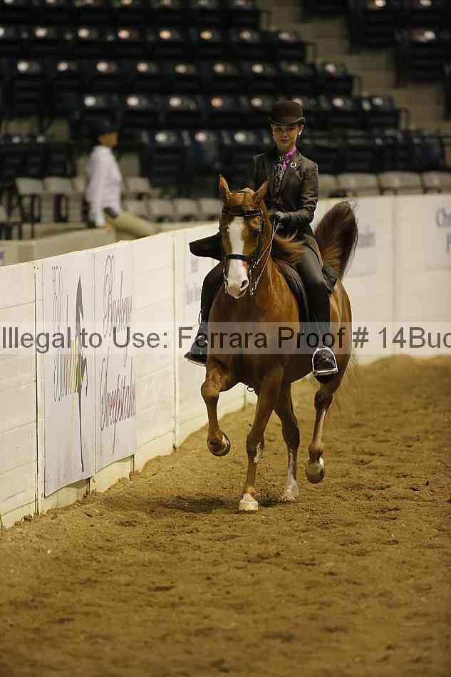 Proof 14buck_0392