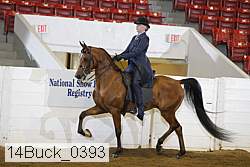 14buck_0393 proof