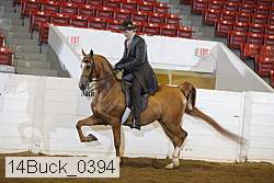 14buck_0394 proof