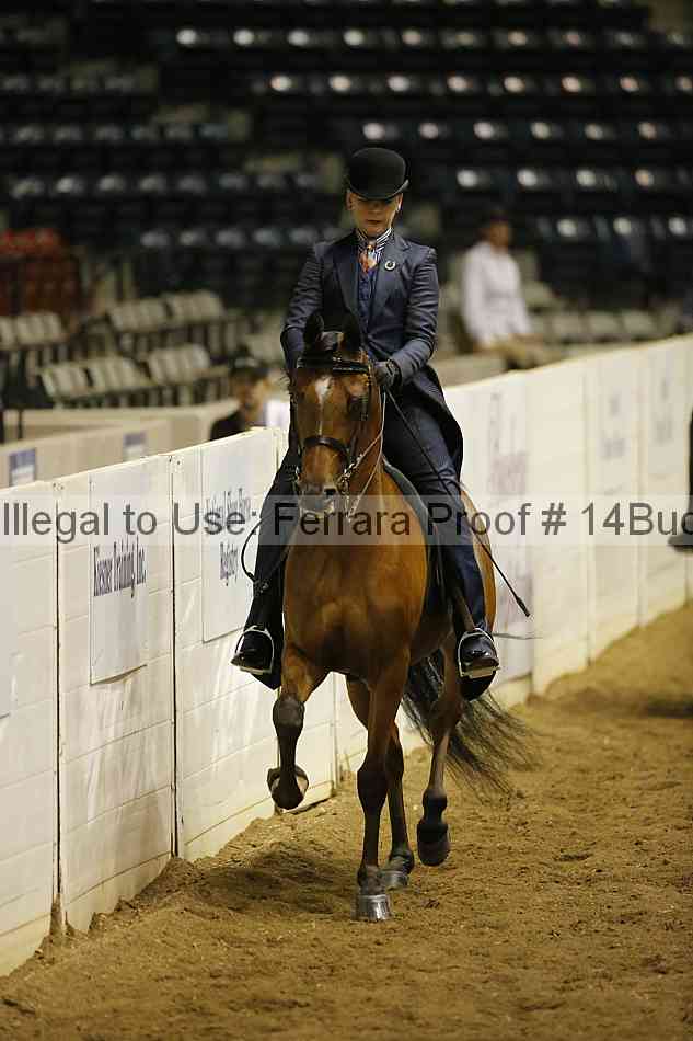 Proof 14buck_0395