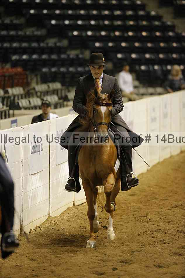 Proof 14buck_0396