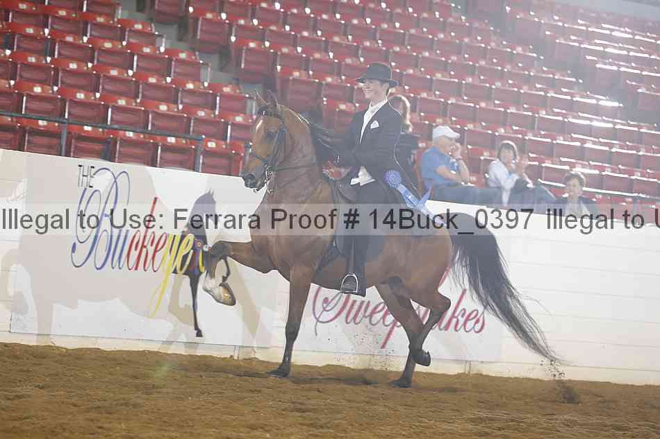 Proof 14buck_0397