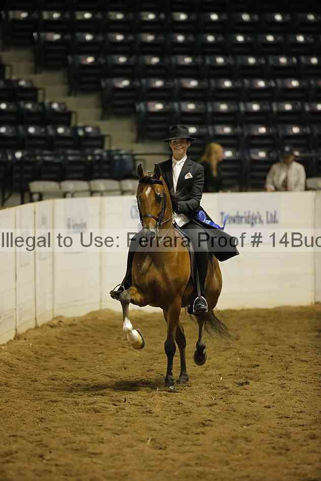 Proof 14buck_0398