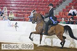 14buck_0399 proof