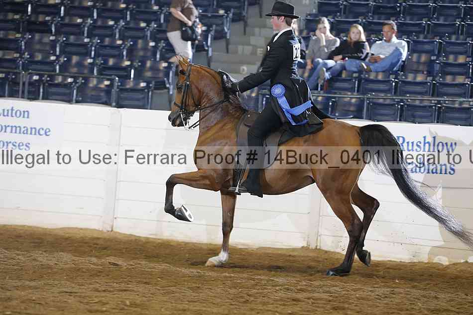 Proof 14buck_0401