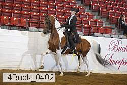 14buck_0402 proof