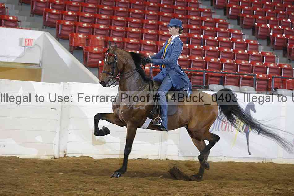 Proof 14buck_0403