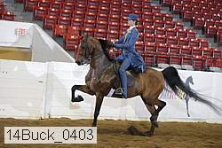 14buck_0403 proof