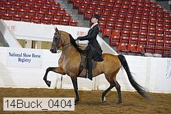 14buck_0404 proof