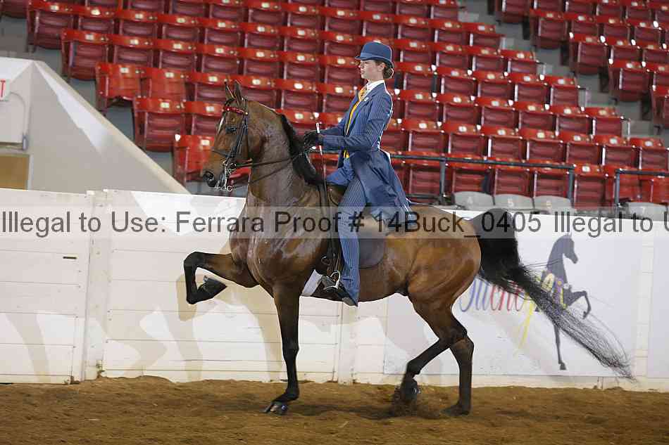 Proof 14buck_0405