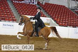 14buck_0406 proof