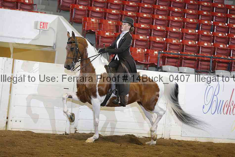 Proof 14buck_0407