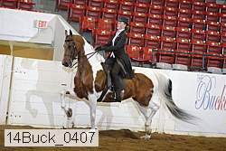 14buck_0407 proof