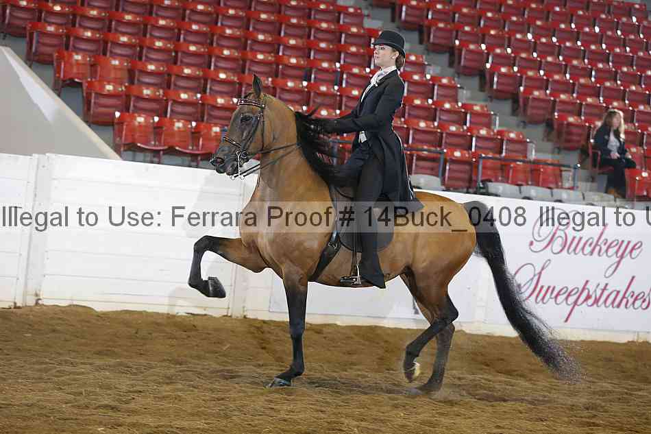 Proof 14buck_0408