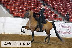 14buck_0408 proof