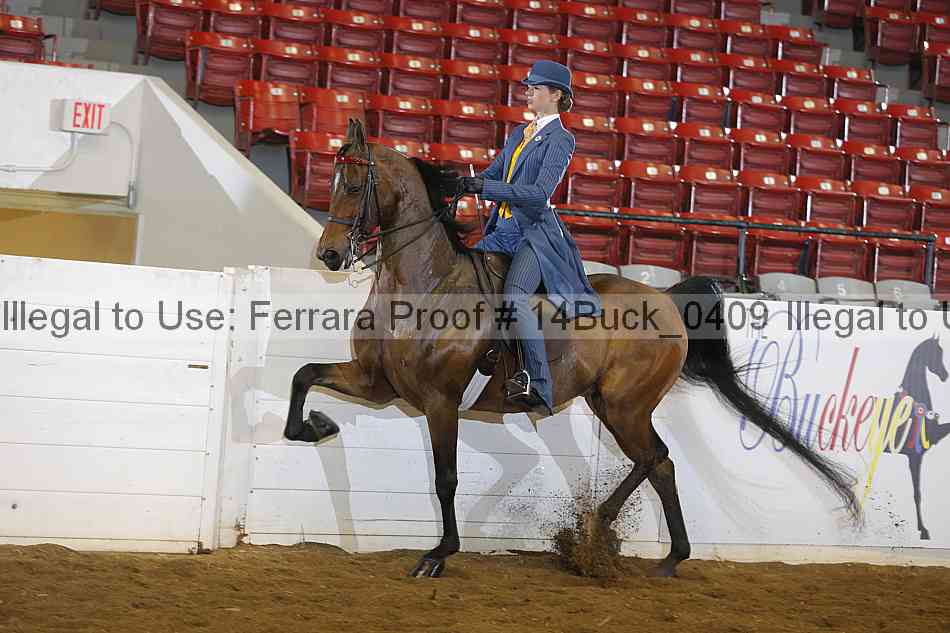 Proof 14buck_0409
