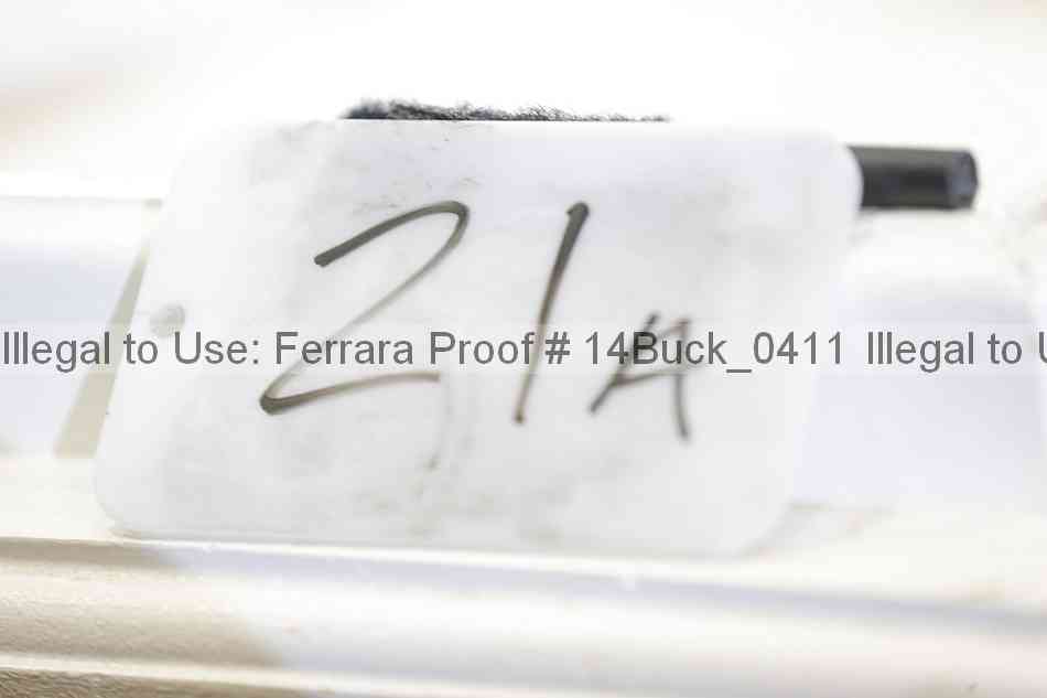 Proof 14buck_0411