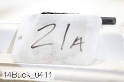 14buck_0411 proof