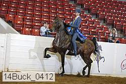 14buck_0412 proof