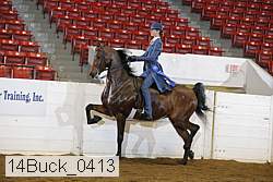 14buck_0413 proof