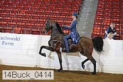 14buck_0414 proof