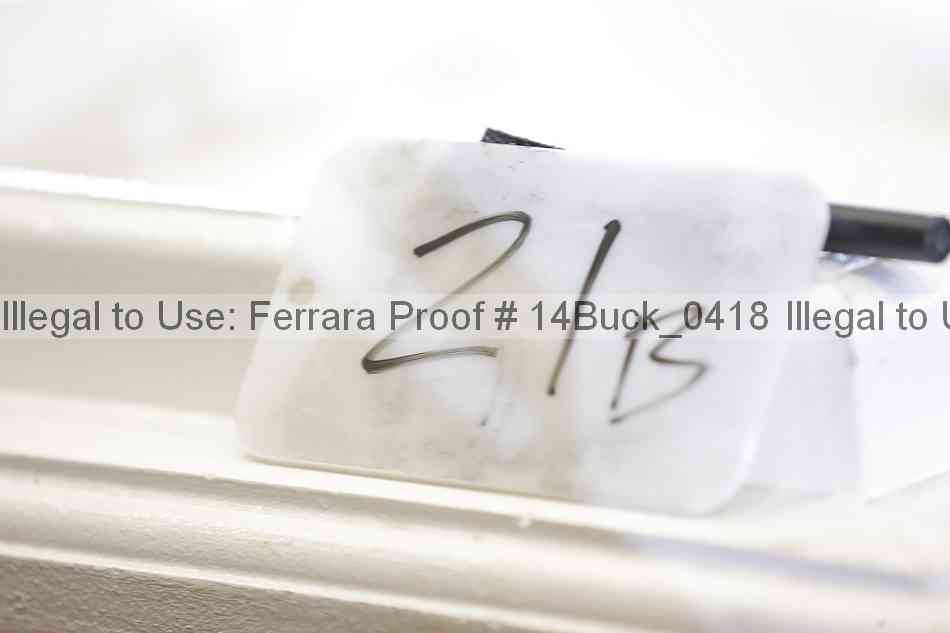 Proof 14buck_0418