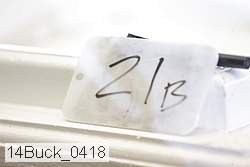 14buck_0418 proof