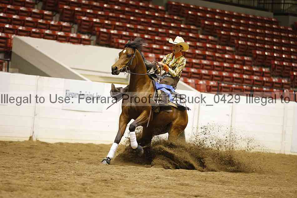 Proof 14buck_0429