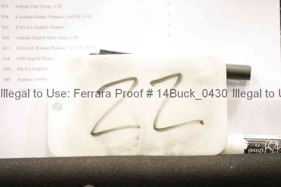 Proof 14buck_0430