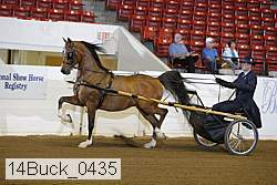 14buck_0435 proof