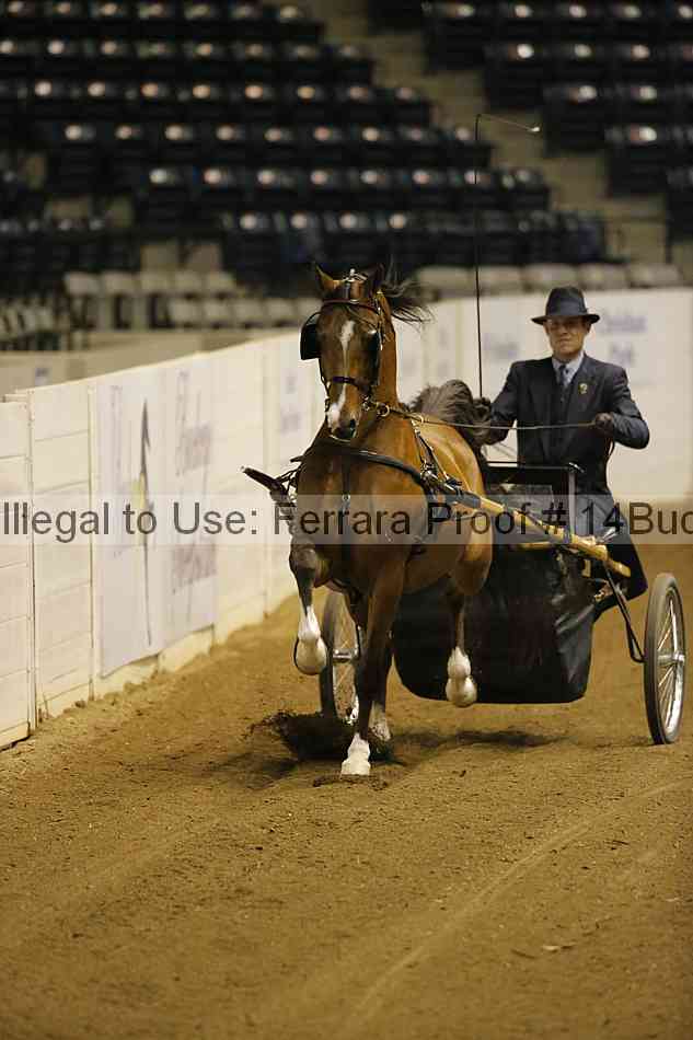 Proof 14buck_0437