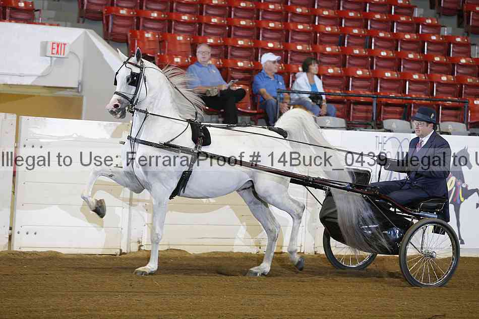 Proof 14buck_0439