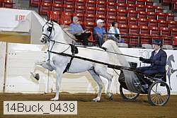 14buck_0439 proof