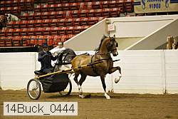 14buck_0444 proof