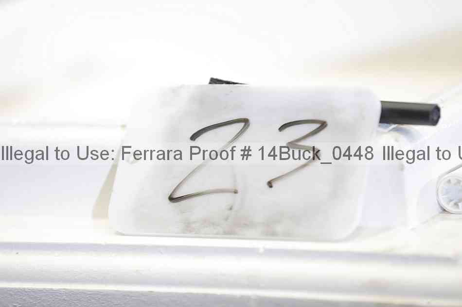 Proof 14buck_0448